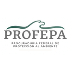 Federal Environmental Attorney (PROFEPA)