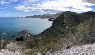 Alliance between technology and community works to protect biodiversity in Baja California Sur